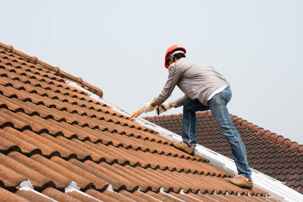 Best Roof Ventilation Installation  in Sabina, OH
